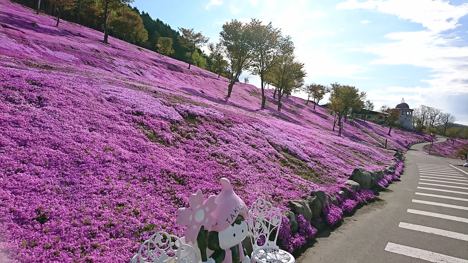 Flower Ring おはようございます 今日は ものすごく早起きして 満開の芝桜を見に来ました 芝桜の絨毯 思わず大きく深呼吸してしまう澄みきった空気 自然を贅沢に味わいエネルギーチャージ 朝一 皆様にも芝桜の彩りをお届けです 素敵な