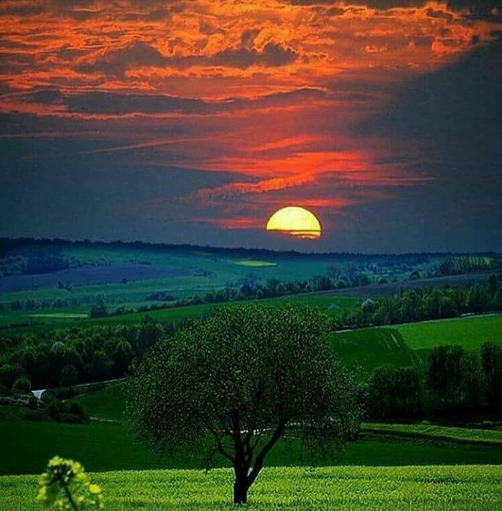 ***(((سافتش))))****

⚘🌱N⚘🌱⚘

أفتش عنكى
 بين بقايا سطوري 
التي أكتبها لكى
 كل مساء 
أناجي ابتساماتي
 التي ضاعت مني
بين الحرف والحرف 
حنيني إليكى
 يبعثرني ...
 يجعلني أثمل
وأنا أقرأ قصائدى
 أيها البعيد
القريب.بل واقرب 
لى مما تتخيل.
إن قلت أشتاق إليك 
.