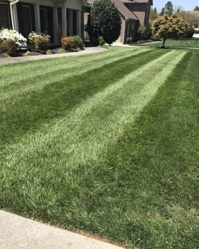 ScagPower's tweet photo. @_thatkid3_ left that lawn looking incredible with his #Scag #SWZT Awesome work!
#scagmowers #simplythebest #scagnation #lawncare #landscaping #lawncarelife #landscapers_of_instagram #showusyourstripes #lawn https://t.co/mr55su3CWp https://t.co/SSdFRu1Wz8