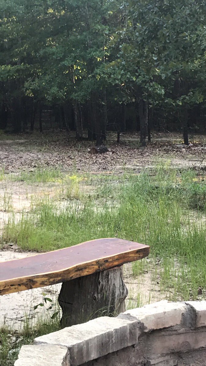 Nexttripwhite's tweet photo. Good evening friends of Next Trip Whitetails. Hope y’all are all have a safe and enjoyable evening. https://t.co/Yug90MAFxf