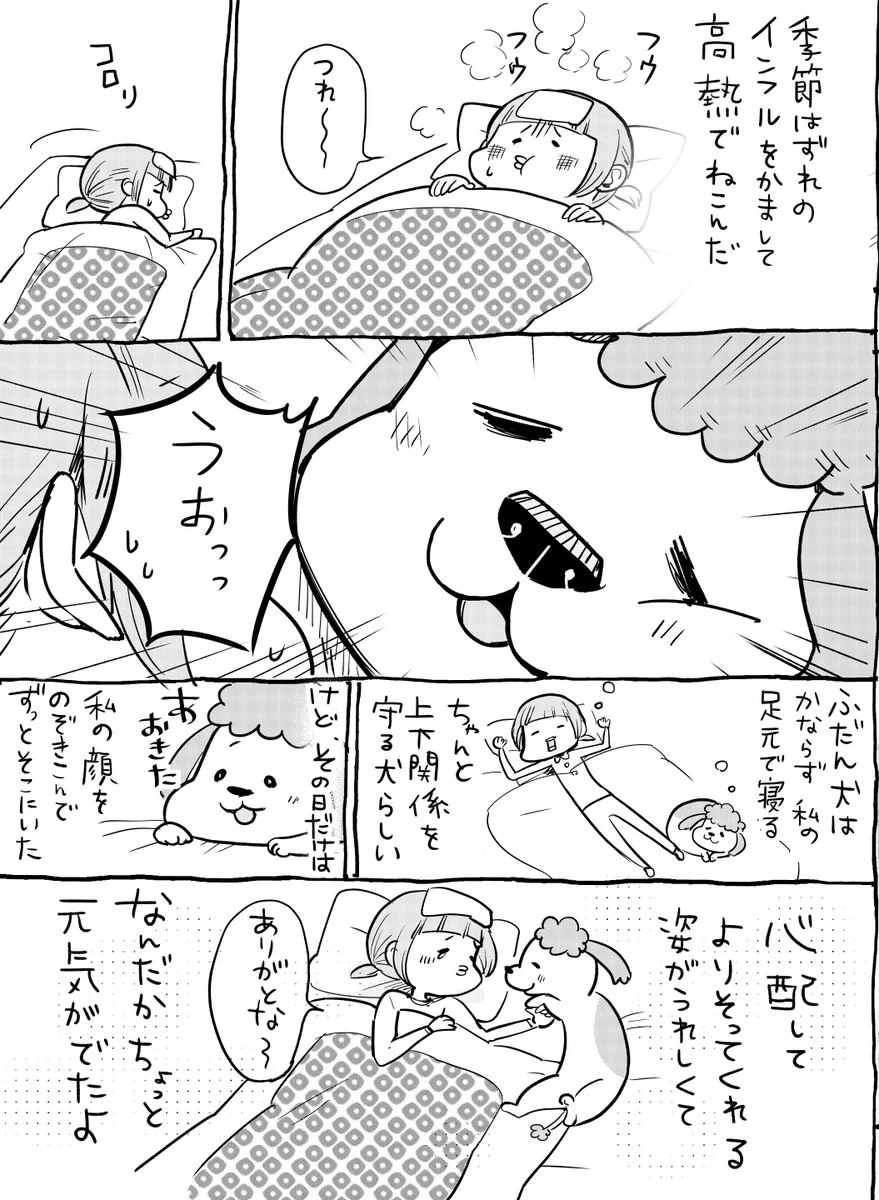 犬と猫！ペットにするならどっち？両方を飼った毎日も楽しいｗｗ