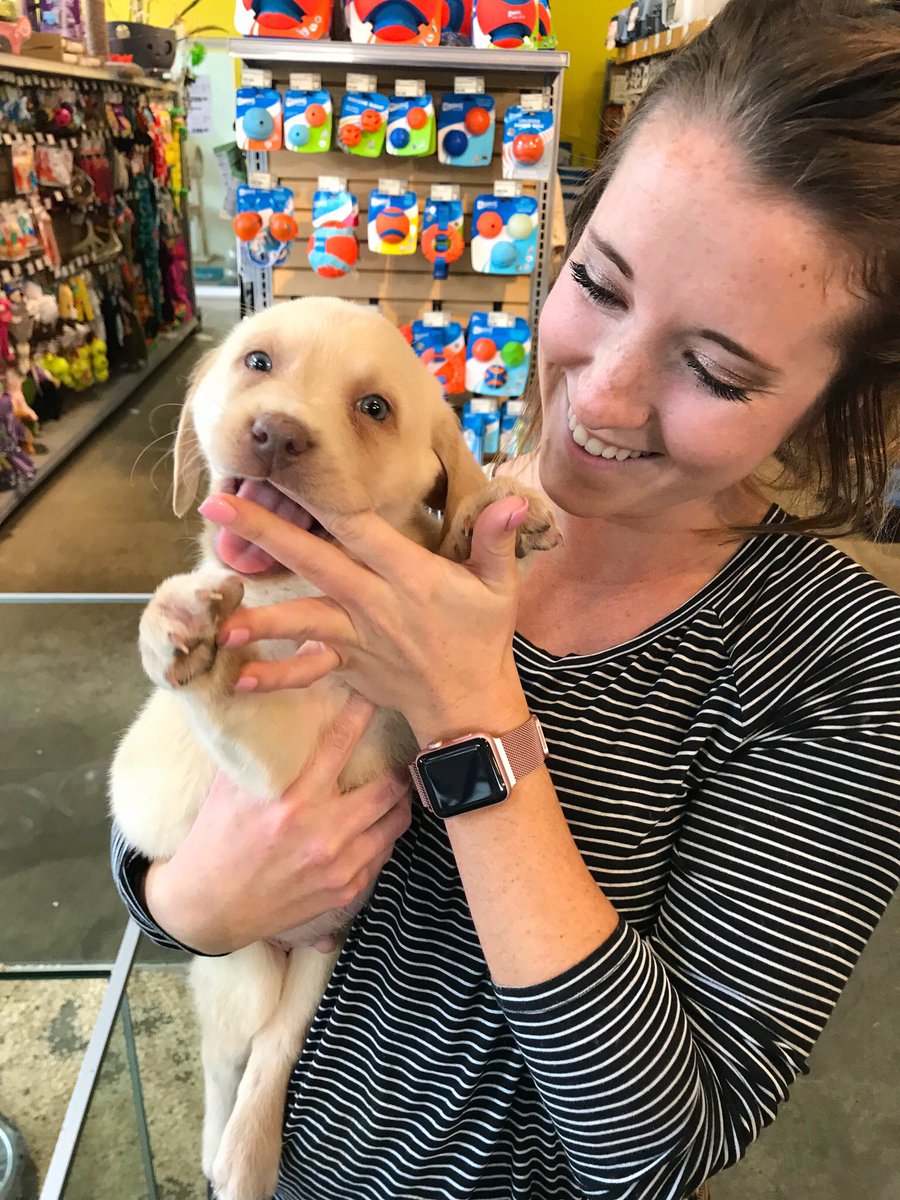 karlieraem's tweet photo. Can’t wait for the day I can own a furry friend like you 💕 https://t.co/cSHgbS1l4n