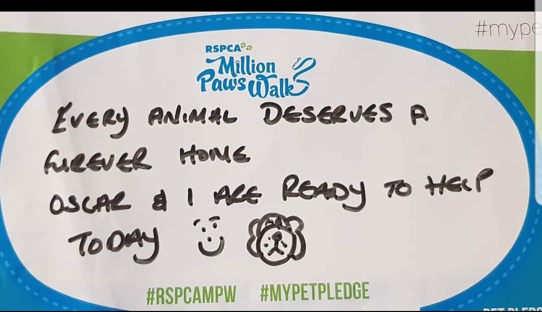 Suki7531's tweet photo. Ready for this today #rspcampw #mypetpledge 🐶😀 https://t.co/zwz4a2Wawg