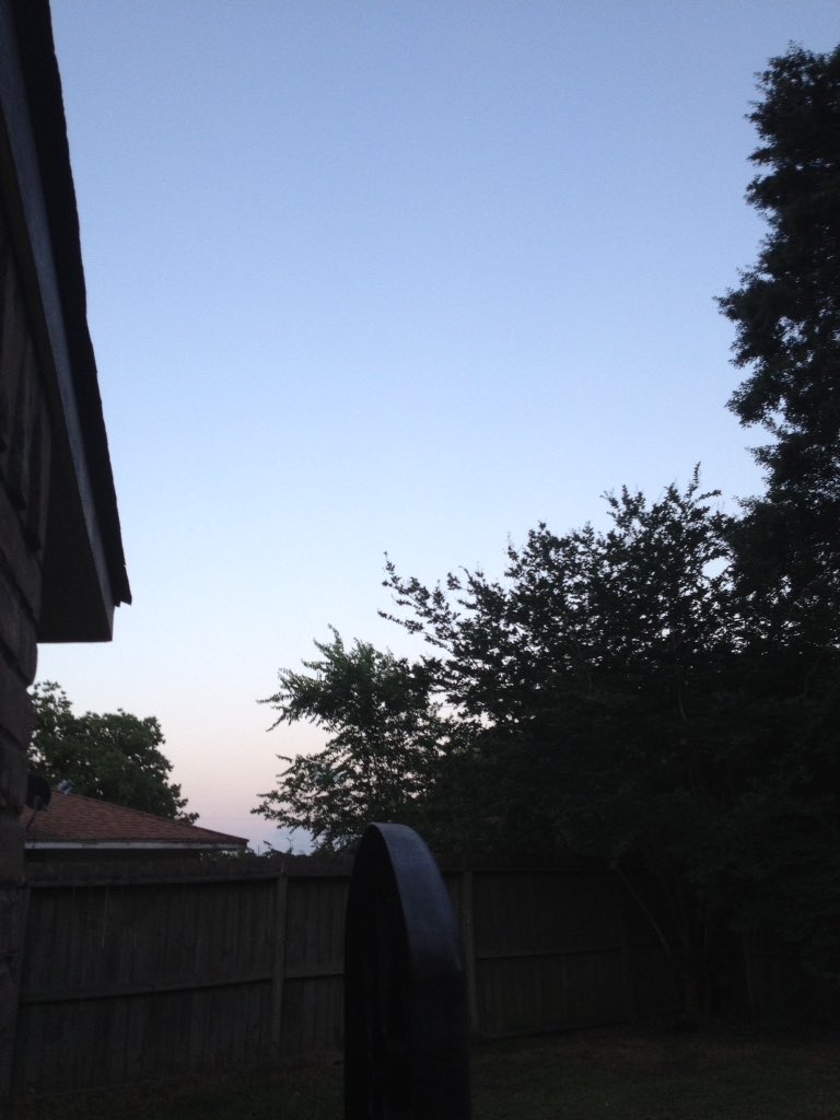 It's becoming night (they come out at night) wish me luck