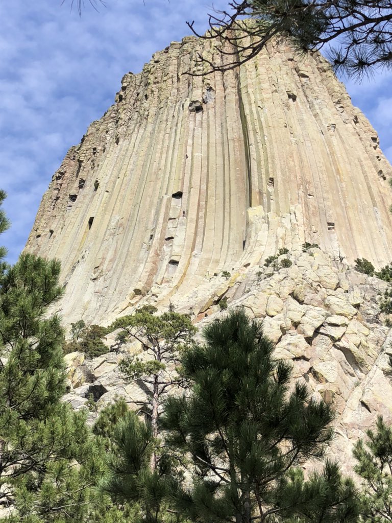 TaylorLiebing's tweet photo. Got to go to Devils Tower today! I was able to see some prayer bundles and people climbing the side. I also taught my sister about the Native American belief of how this beautiful sight cameto be! https://t.co/zrJKl6iRya