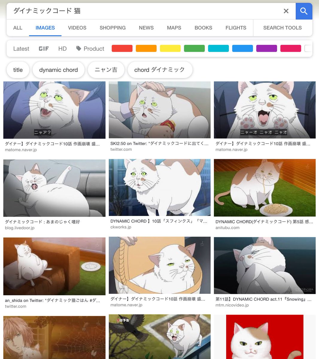 Molcar Stan Account On Twitter If You Ever Want A Good Laugh Just Google Image Search Dynamic Chord Cat You Won T Regret It
