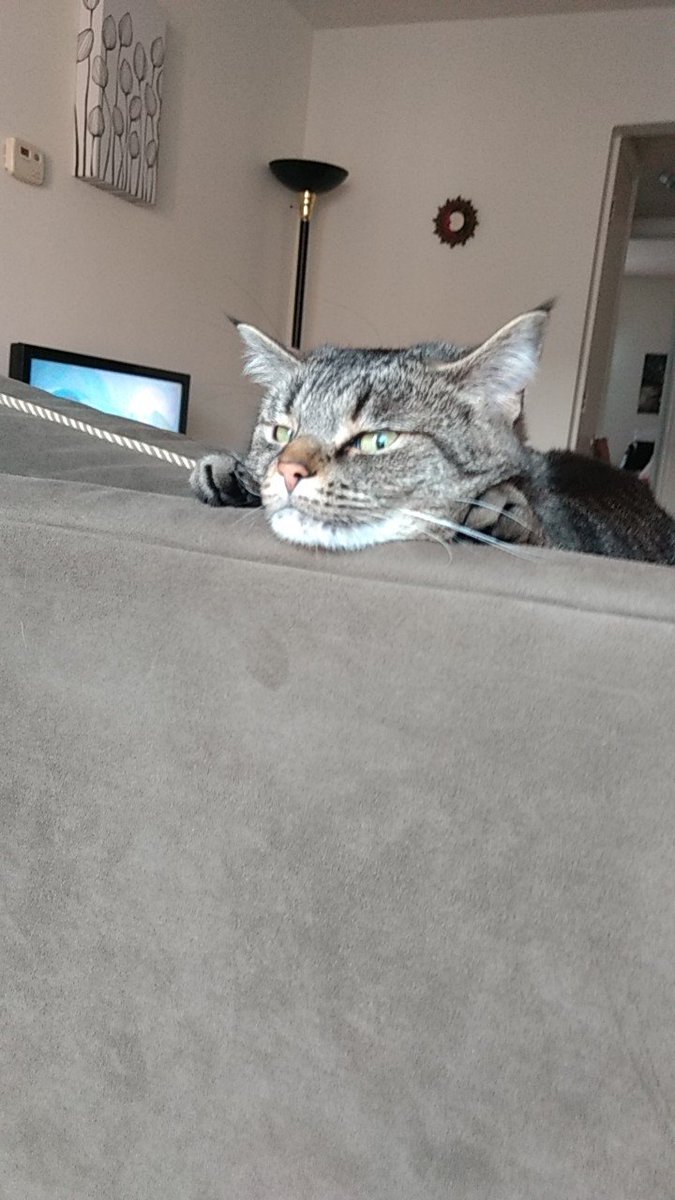 despite everything, it's still pockets tweet media