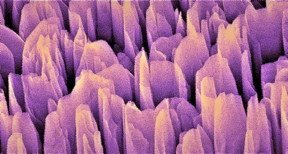 kalimoura1's tweet image. جمع آوری سوخت هیدروژن پاک از طریق فتوسنتز مصنوعی
bit.ly/2s3k8Wf
دفتر واحد فروش
985837217721-2+
09157871750
09157163281
telegram.me/kalimoura                         
#kalimoura #خشکسالی #Insolution #hydrogen #water #آب #nanomaterials #WaterActionDay