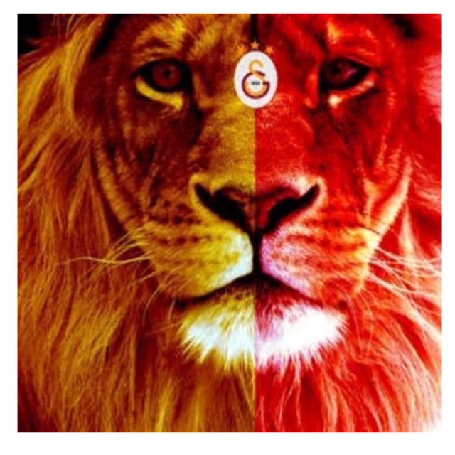 Seninle herzaman gururluyuz tesekkürler #ŞampiyonGALATASARAY