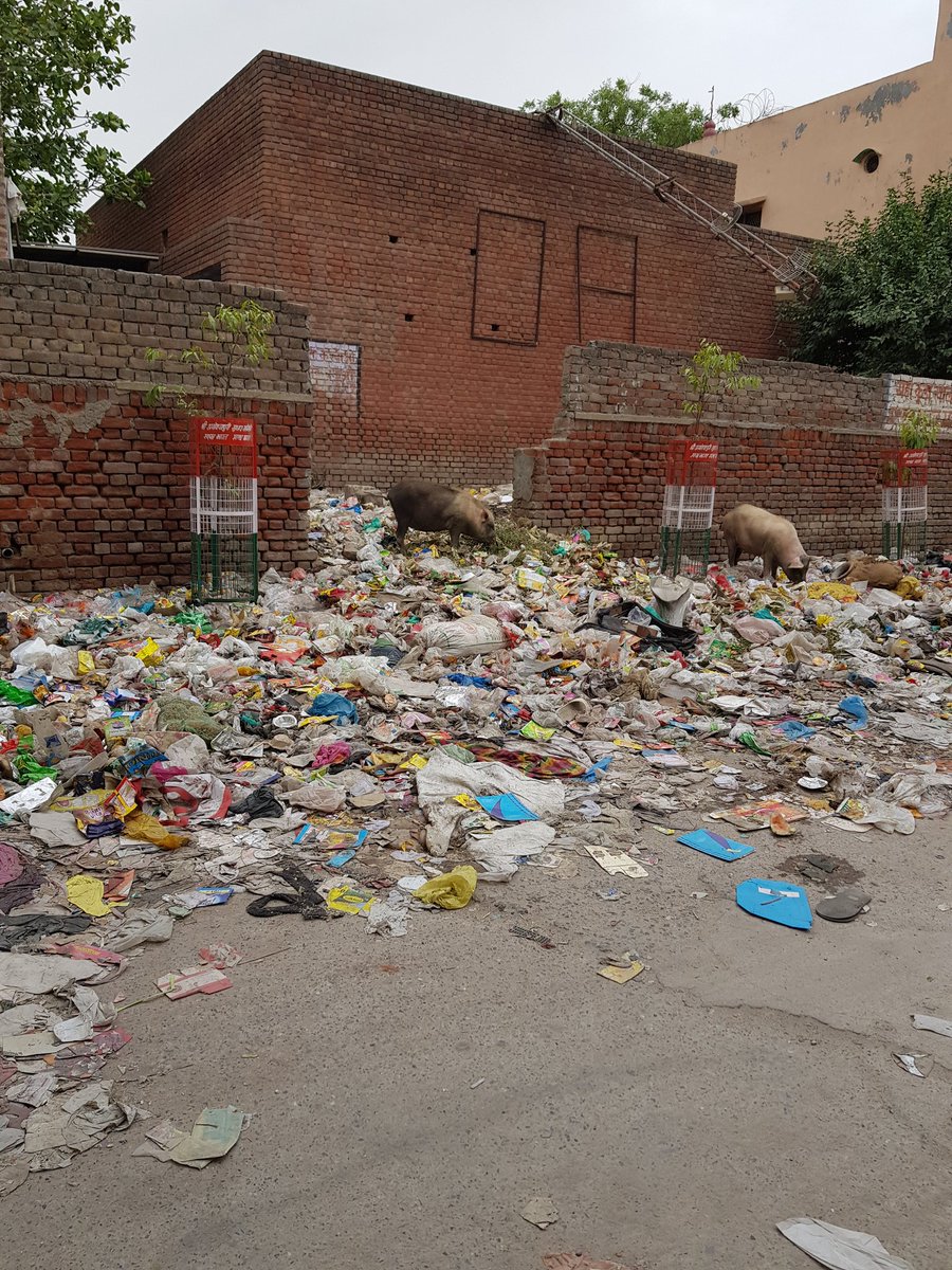 vineetchachra's tweet photo. @cmohry @mlkhattar @JhajjarDc ...this is the condition kn which we are forced to live...in so called upscale colonies..fear of disease..#safaikaramchari strike..quilla mohalla bahadurgarh https://t.co/uhT7iOjFJY