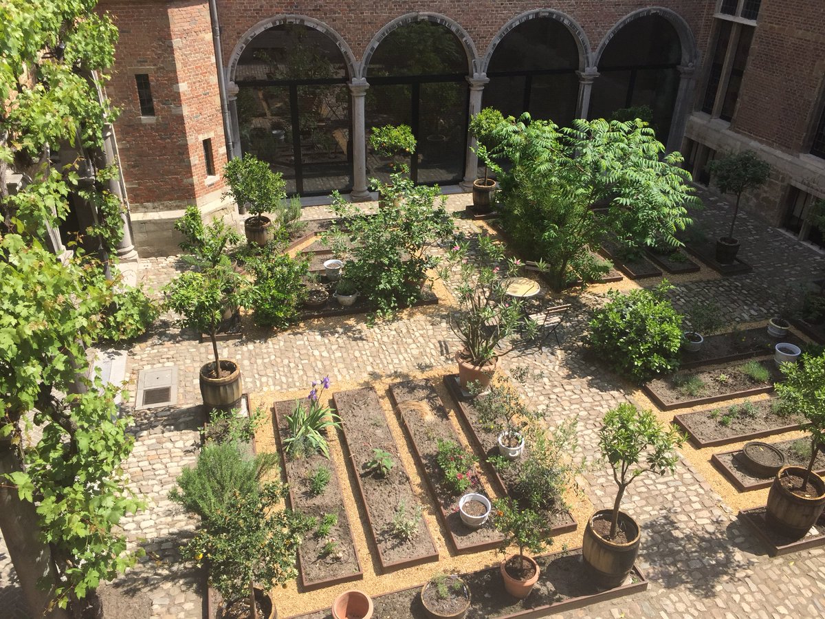 BailleulBe's tweet photo. Vandaag een bedwelmende geur oranjebloesem in stadstuin Snijders&Rockoxhuis. 400 jaar geleden al de pronkstukken van de tuin. Nu ruik je ze in het echt, rest jaar in geurmodules kruidenboek #Dodoens #rockox #museum https://t.co/kTNwydUABm