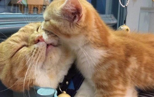drunktwi's tweet photo. Ох уж эта детская забота о родителях https://t.co/ZR7sceaPdE