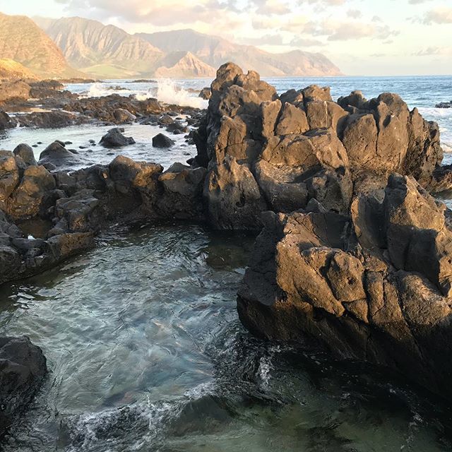 larisamajors's tweet photo. Tidepools at sunset
#sunset #saturdaysunset #tidepools #westside #westsideisthebestside #kaenapoint #oahu #hilife #hikelife #sunsethike #hike #majorstrails2018 #larisahikes #majestic #luckywelivehawaii #hiketherapy #happyplace https://t.co/xEbyJLPQmE https://t.co/VSD645lDKY