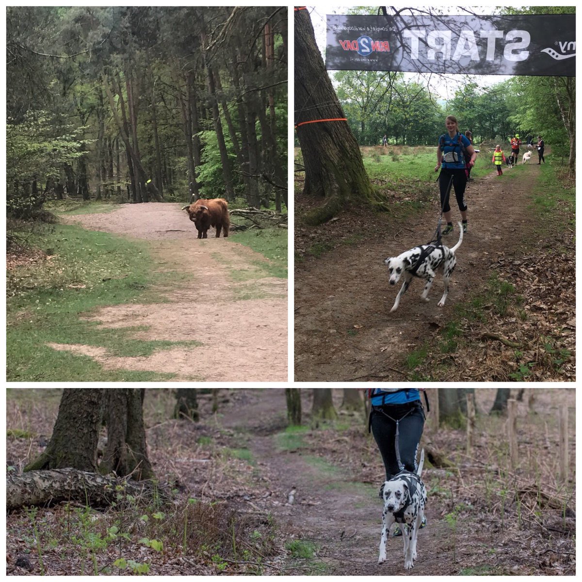 Inge Jansen 🌞 tweet media