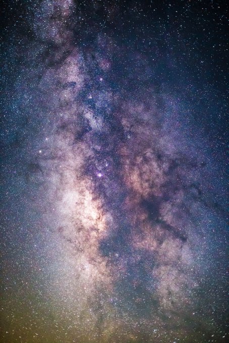 生きてる 高画質 のtwitterイラスト検索結果 古い順