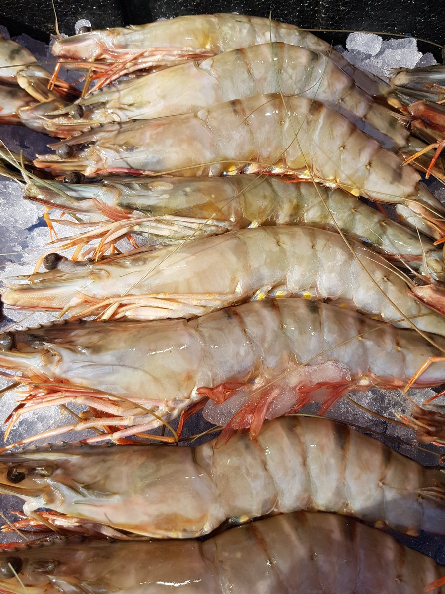 Great selection of fresh line caught fish shell fish and smoked fish from 10am to 2.30pm <a href="/TFSundayMarket/">TobaccoFactoryMarket</a> fantastic black tiger prawns great on the BBQ lovely sunny day.