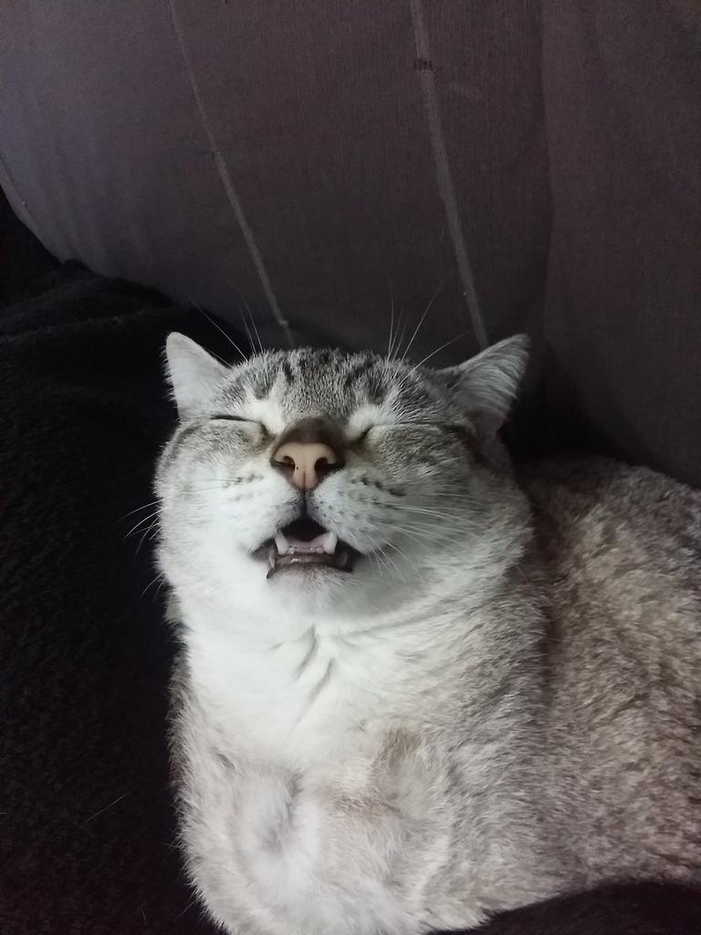 wowdaora's tweet photo. deitei pra dormir | começaram as paranóias https://t.co/tRlDxOrwzE