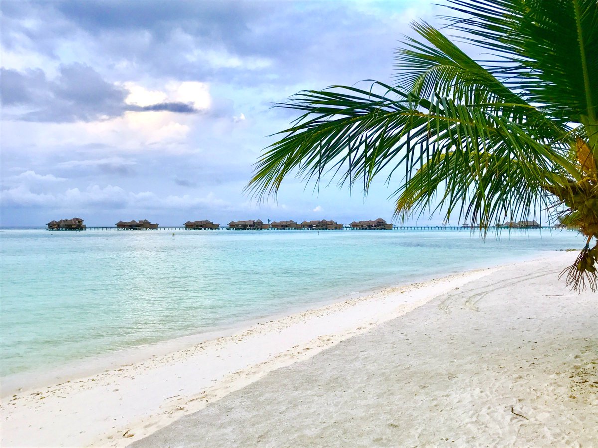 Island beach 2. Индийский океан Мальдивы. Тропический пляж. Остров пляж. Индийский океан пляж.