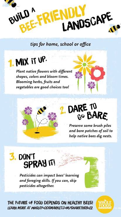 Swati2610's tweet photo. Today is #WorldBeeDay 🐝
They‘re #endangered
Pesticides &amp; #ClimateChange are hurting them.

Do your bit to help #nature-it’s for us!
Plant bee-friendly herbs&amp; flowers. Raise awareness!

“Mankind won’t survive the honeybee’s disappearance for more than 4yrs”-Einstein

#SavetheBees https://t.co/xfx5MwaYOm