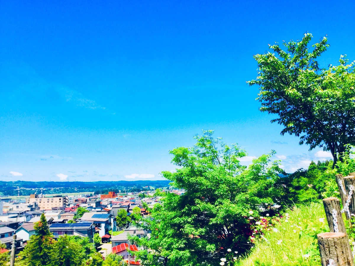 ジブリの景色が現実世界に？自然豊かな絶景スポット「十日町」