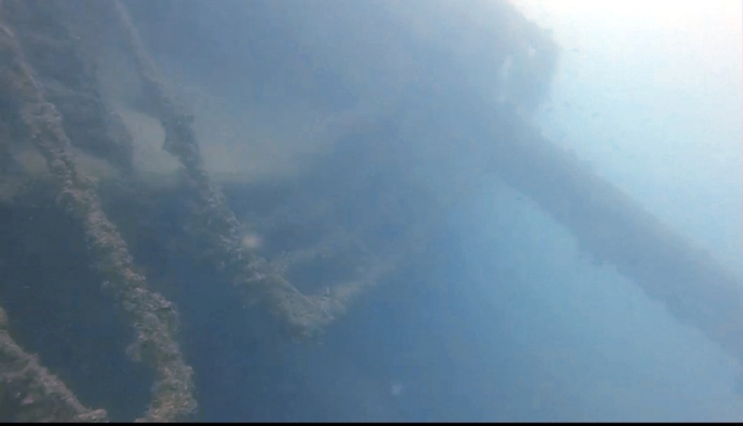 CarollScuba's tweet photo. Torro Negro Bay of jounieh
#scubadiver #scubadiving #openwater #sea #ocean #underwater #happiness #adventure #iantd #divessi #padi #scubadivingcourse #lebanon #livelovelebanon #scubadivergirls #scubalifestyle #activities #lebanonactivities #livelovesports https://t.co/aZRwAZDr21