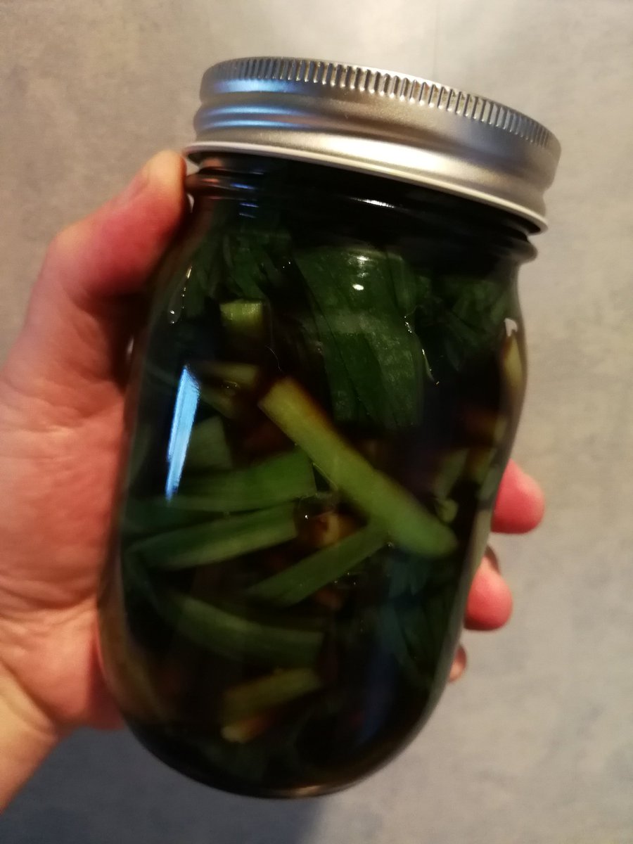 高橋典幸 على تويتر 行者にんにくの醤油漬けを作りました 大好物です 生葉の段階でもう香りがたまり ません 私の故郷の北海道ではアイヌネギと呼ばれます これは長野県産なので行者にんにくとしましょう 楽しみ 行者にんにく醤油漬け アイヌネギ醤油漬け