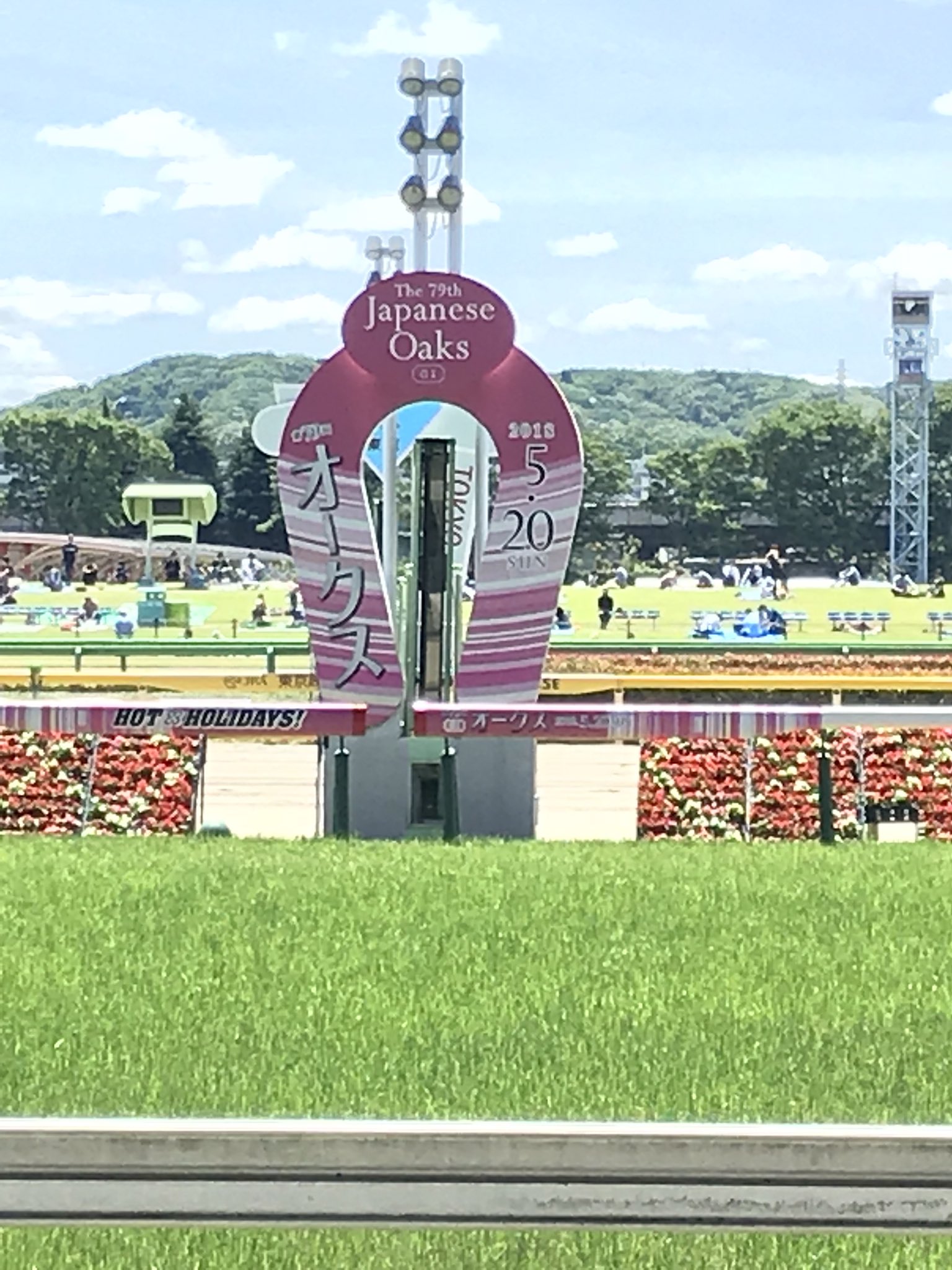 直営店に限定 シーザリオ号第66回オークス優勝記念パネル その他