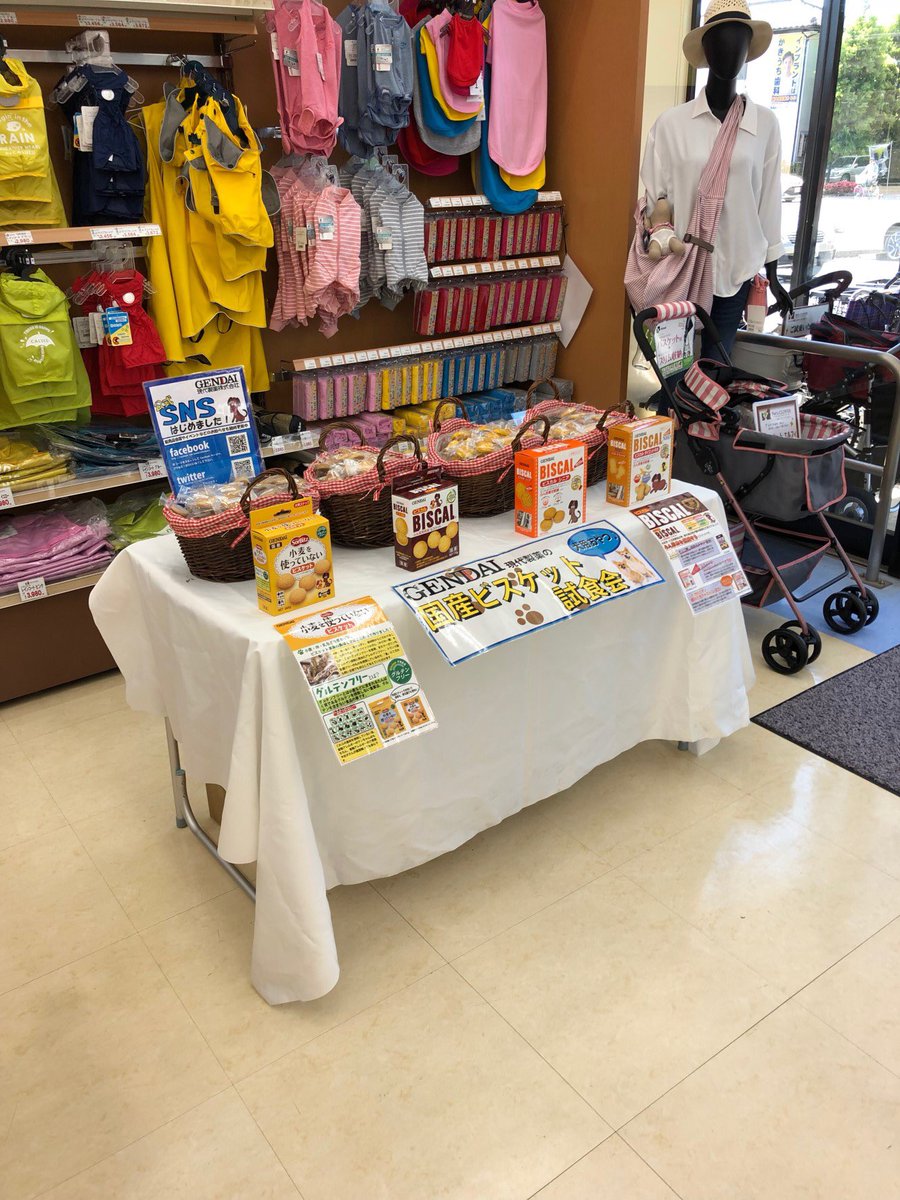 ペッツクローバー東大宮店 ペッツクローバー東大宮店