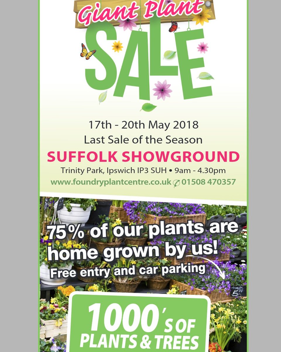 giantplantsale's tweet photo. Last chance to visit us @giantplantsale  @TrinityParkUK  @SuffolkShow #Ipswich open 9am-4.30pm #freeentry 1000's of quality plants at competitive prices #WhatsOn #Suffolk https://t.co/3qZmR1cexY