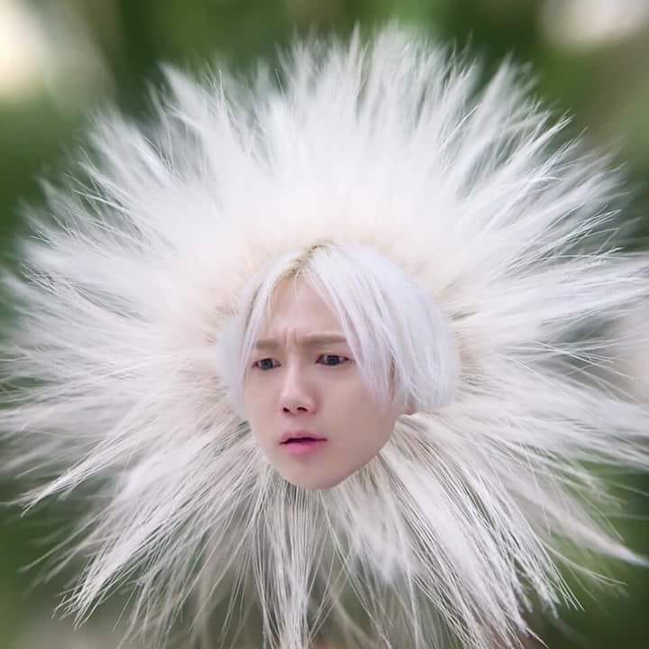 kyussweater__'s tweet photo. el Yesung diente de león de la suerte ayuda a que Twitter no te suspenda la cuenta. 
#MTVLAKPOPSJ 
#PremiosMTVMiaw 
@SJofficial 
@shfly3424 https://t.co/HuCtkNg3Vy