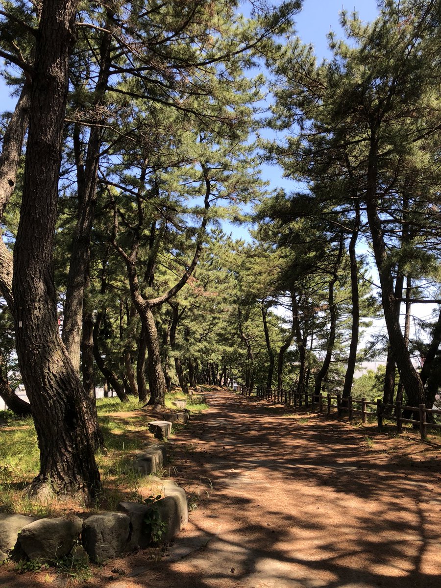 長崎街道を経て、旅人パワーで初九州、若松行ってきます☀️