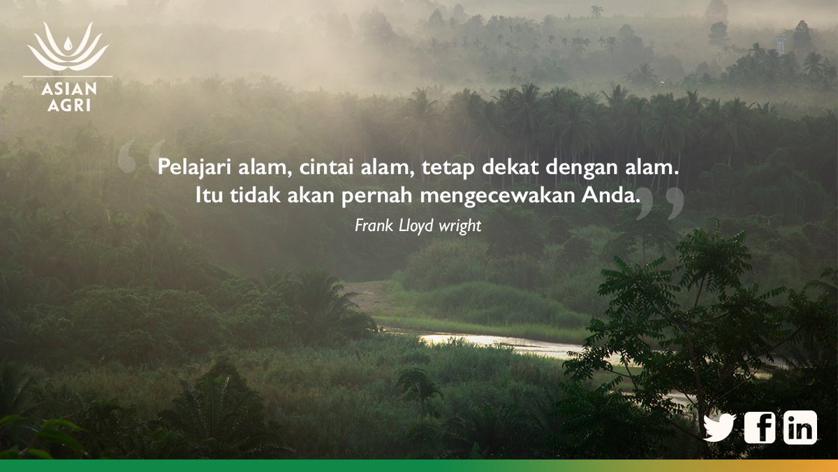 Quotes Alam  Hutan  Kata Kata  Mutiara 