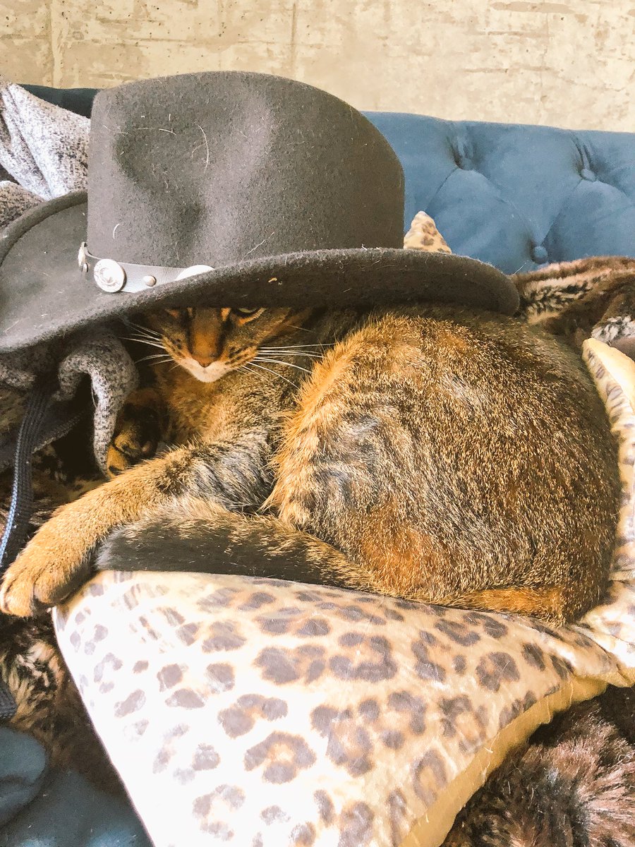 Jerry’s auditioning too...