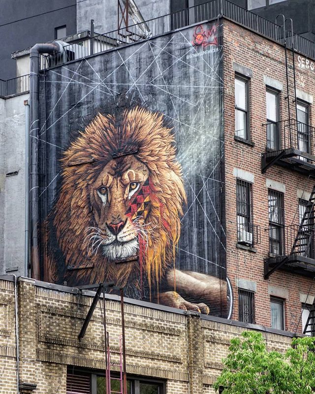 D7606ART's tweet photo. Work by @sonnysundancer ● Manhattan, New York City ● Part of the #ToTheBone Project with support from @action4ifaw .
.
#sonny #sonnysundancer #totheboneproject #ifaw #animalsmatter #nycstreetart #streetartnyc #mural #streetart #jj_urbanart #tv_streetart #rsa_graffiti #stree… https://t.co/fSHbuo0v5d