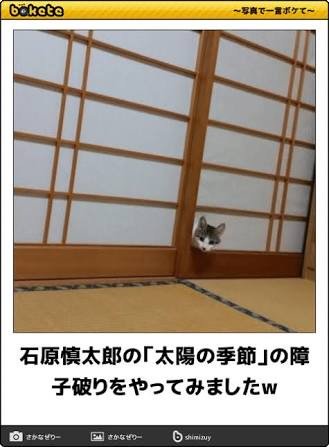 Parody575 音と言葉と冗談と בטוויטר きらクラ 障子を突き破るのは石原慎太郎の太陽の季節じゃなかったかな Parody575 音と言葉と冗談と בטוויטר きらクラ 障子を突き破るのは石原慎太郎の太陽の季節じゃなかったかな