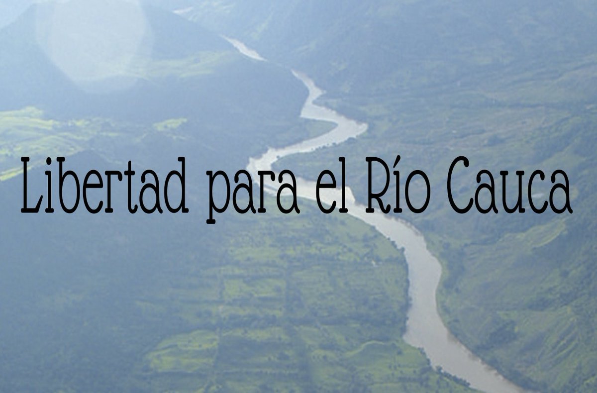 FundaBahareque's tweet photo. @ISAZULETA @RiosVivosCol https://t.co/EXVtMwEhRZ