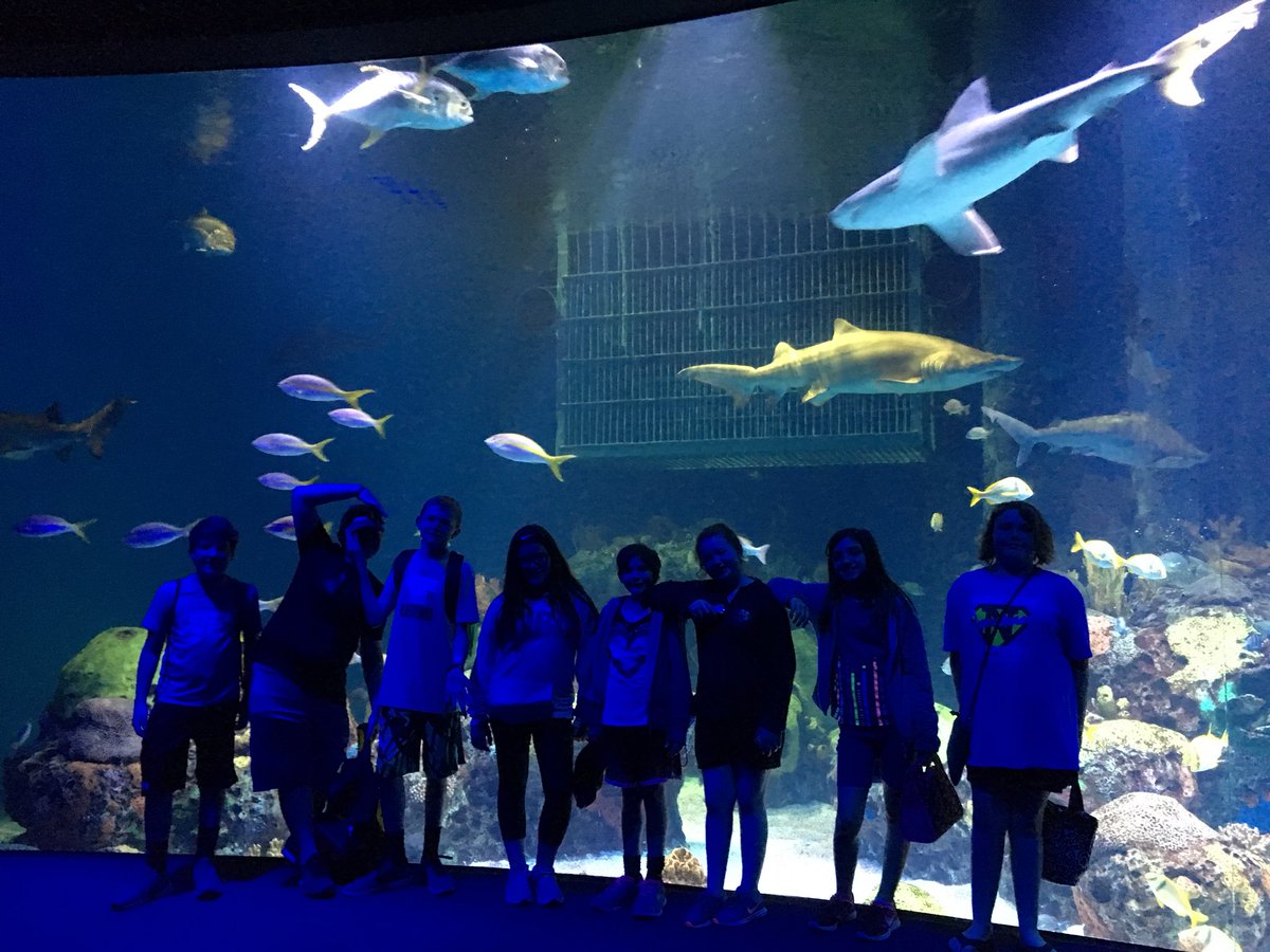 6th Grade STEM trip was a blast! <a href="/Bavery1089/">Brittany Avery</a> <a href="/FairchildLaVon/">LaVon Fairchild</a> <a href="/PinkstonMiddle/">Pinkston Middle</a>