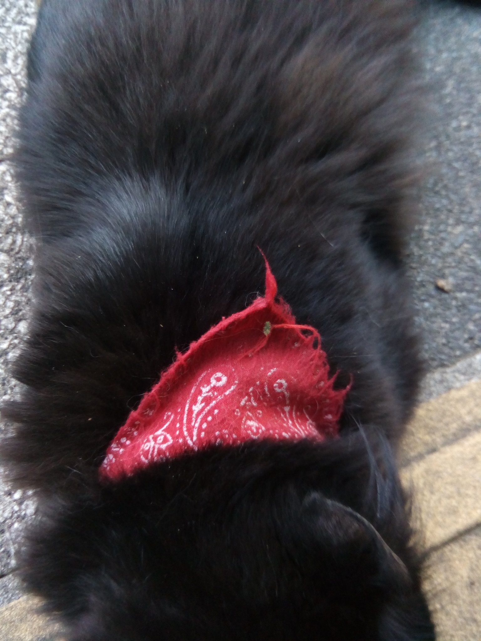 定番入荷 070121 赤字処分❗️桜瑪瑙ブレス天珠10点セット - 通販