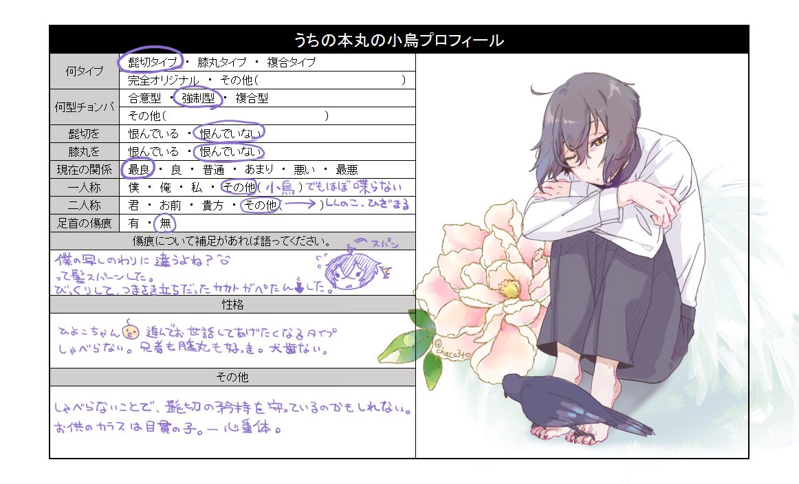 うちの本丸の小烏プロフィール