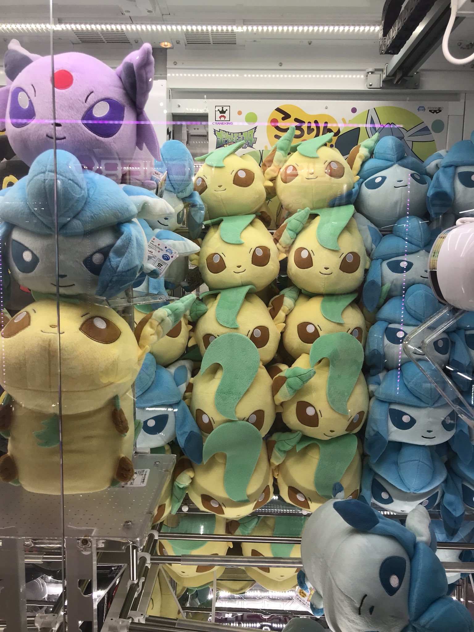 Ban Dqw こころはいつもd V Twitter 北谷セガにあったポケモンufoキャッチャーコレクション02 ブイズくくり ポケモン ぬいぐるみ Ufoキャッチャー ゲーセン 沖縄 北谷 美浜 アメビレ Ban Dqw こころはいつもd V Twitter 北谷セガにあったポケモンufoキャッチャーコレクション02 ブイズくくり ポケモン ぬいぐるみ Ufoキャッチャー ゲーセン 沖縄 北谷 美浜 アメビレ