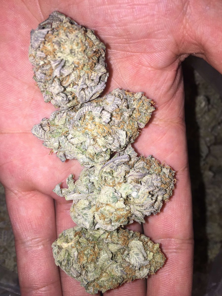 SmokePlug tweet picture