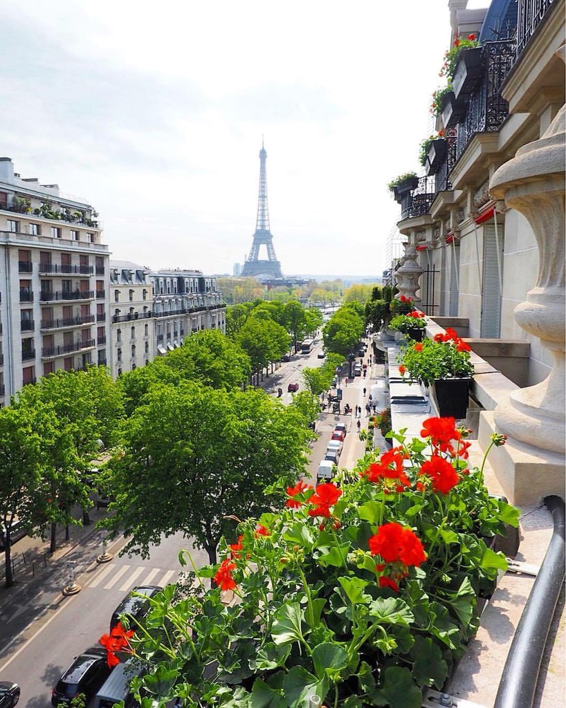 PhilipCMack's tweet photo. #thispastyear #tpy #scottishliterature #scottishauthor #scottishnovel #novel #prologue #paris #france #cafeculture #contemporary #drama #compelling #hero #heroine #tragedy #love #life #psychological #issues https://t.co/ZJTy0kLBlF