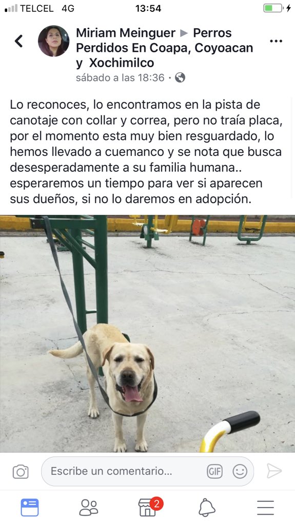 Pata perruna 🐾🐾 tweet media