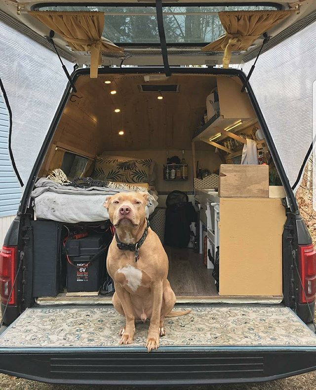 TruckCamping's tweet photo. That's a nice setup you got there! From @misssnorris #truckcamping #carcamping #vancamping #campinglife #camping #campershell https://t.co/pKQo2pTc94 https://t.co/HCbffPVb56