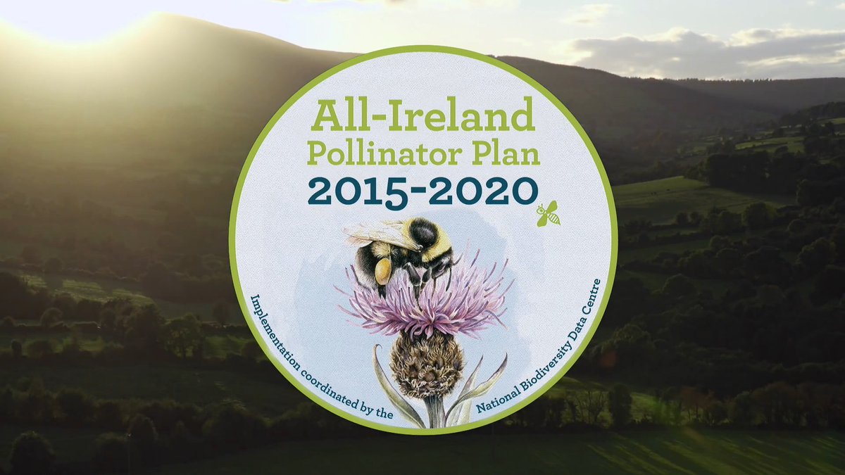 BioDataCentre's tweet photo. For World Bee Day, be reminded that we have a plan to conserve our 99 bee species in Ireland, to create the space that nature and our bees need to #survive and #thrive. Join us in taking action and support the #AllIrelandPollinatorPlan #WorldBeeDay

https://t.co/VMkJZU0MvC https://t.co/MXtyyc0L7A