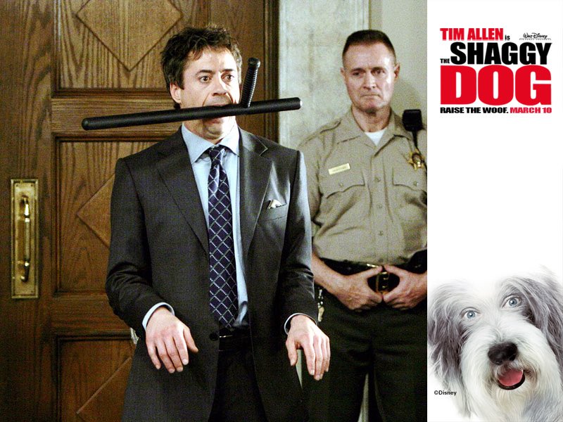 シネちゃぶ シャギー ドッグ というロバート ダウニー Jr が アイアンマン で超ブレイクする前に悪役で出演した映画を見たんだけど ディズニーらしいほのぼのコメディで可もなく不可もなし ちなみに ティム アレンが主人公で犬になります
