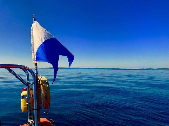 PADI's tweet photo. It's a sight we all love to sea π¦πFalmouth, UK π· @Cornish_Diving #DiveUK https://t.co/BYXCaLsoPi