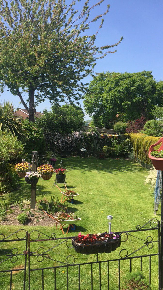 What a glorious weekend ! A right royal wedding yesterday and a fabulous day as a brucie bonus today. I have loved seeing the whole country and our communities really celebrating this weekend. #sunshinesunday#familychilltime