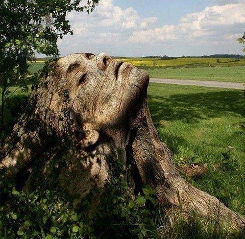 Sagetech_Mach's tweet photo. Beautiful tree art #Woodworking #Madewithwood #Carpentry #Wooddesign #Timber #carving #milling #Engraving take a look at our desktop engravers 👉https://t.co/LQTZbfWKbN https://t.co/PVX4gz3d8F
