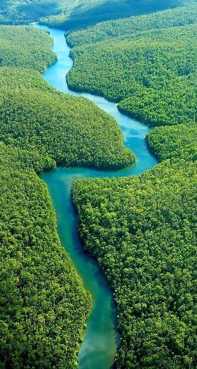 pendarlaut's tweet photo. #Selfplot
Telepon dari Sungai Amazon
๐ Dhafa
๐ Shafa
"Shaf, mau dibawain ikan Piranha berapa banyak?" https://t.co/tfiZkU237c